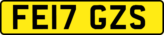 FE17GZS