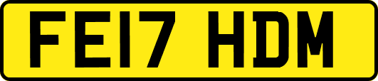 FE17HDM