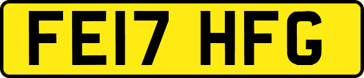 FE17HFG