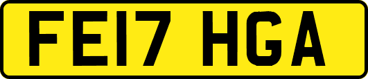 FE17HGA