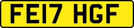 FE17HGF