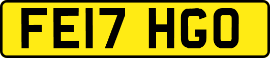 FE17HGO