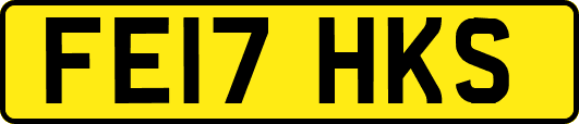 FE17HKS