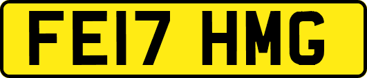 FE17HMG