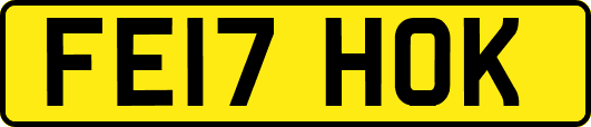 FE17HOK