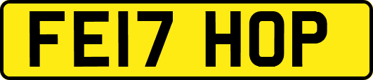 FE17HOP