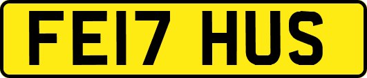 FE17HUS