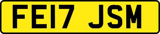 FE17JSM