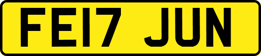 FE17JUN