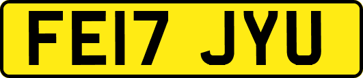 FE17JYU