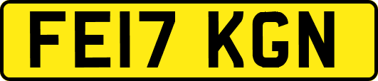 FE17KGN