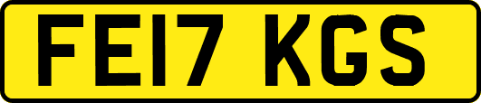 FE17KGS