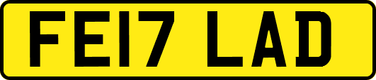FE17LAD