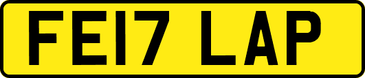 FE17LAP
