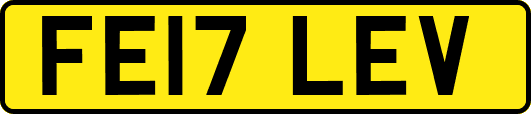 FE17LEV