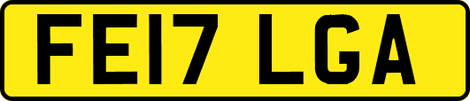 FE17LGA
