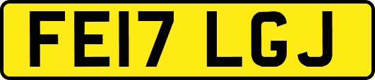 FE17LGJ