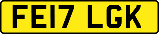 FE17LGK