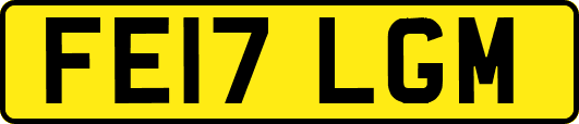 FE17LGM