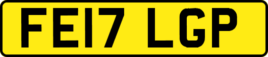 FE17LGP