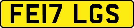 FE17LGS
