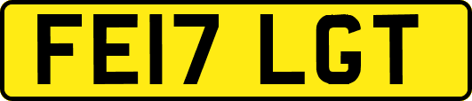 FE17LGT