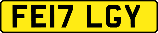 FE17LGY