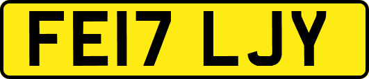 FE17LJY