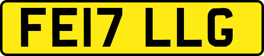 FE17LLG