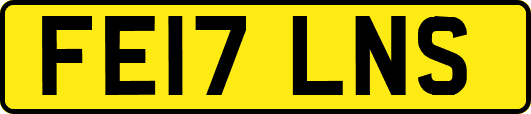 FE17LNS