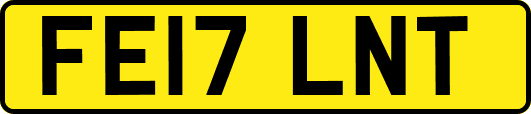 FE17LNT
