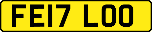 FE17LOO