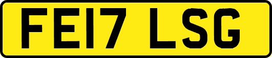 FE17LSG