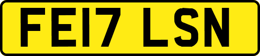FE17LSN
