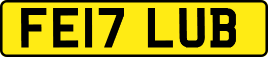 FE17LUB