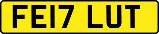 FE17LUT