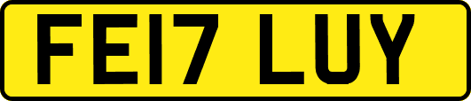 FE17LUY