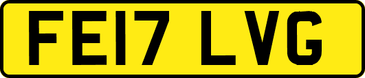 FE17LVG