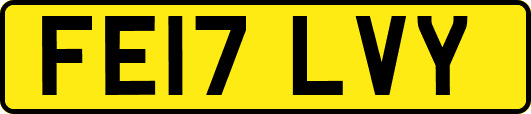 FE17LVY