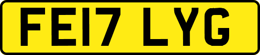 FE17LYG
