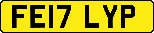 FE17LYP