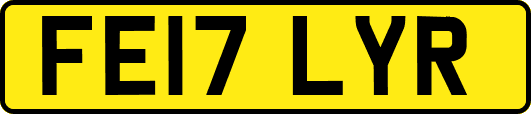 FE17LYR