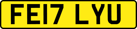 FE17LYU