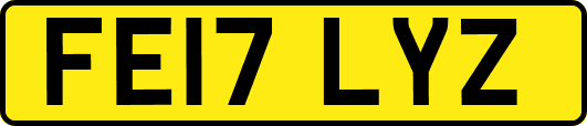 FE17LYZ