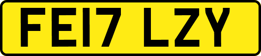 FE17LZY