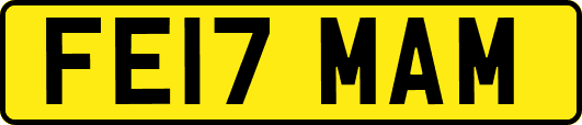 FE17MAM