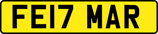 FE17MAR