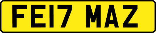 FE17MAZ
