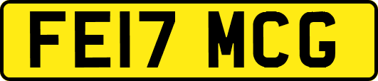 FE17MCG