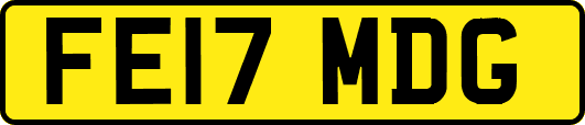 FE17MDG